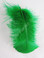 Green Craft Feathers Turkey Plumage per Ounce