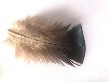 Natural Turkey Plumage Craft Feathers per one ounce