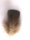 Natural Turkey Plumage Craft Feathers