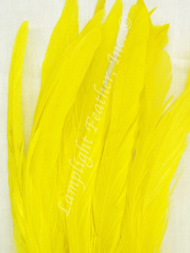 Coque, 5-8 inch, Yellow, per 25