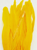 Gold Coque Rooster Tail Feathers 10-12 inch per Ounce