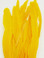 Gold Coque Rooster Tail Feathers 10-12 inch per Ounce