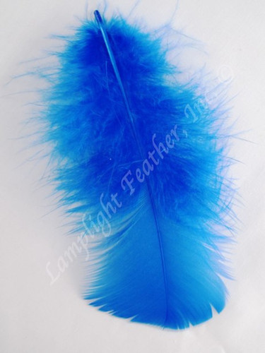 Blue Craft Feathers Turkey Plumage