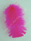 Fuchsia Craft Feathers Turkey Plumage