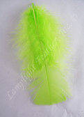 Lime Craft Feathers Turkey Plumage bag