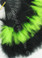 Feather Fan, Marabou, Black/lime MIX, per Each