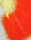 Feather Fan, Marabou, Orange, per Each