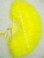 Feather Fan Marabou Yellow