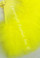 Feather Fan, Marabou, Yellow, per Each