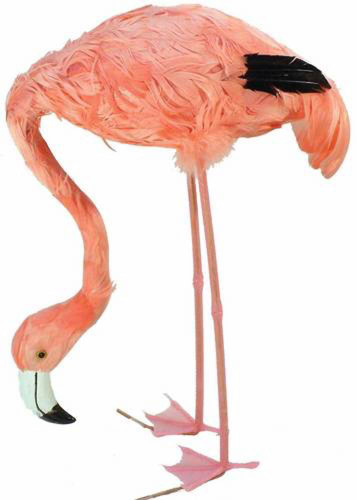 Pink Flamingo Feeding 15 inch
