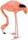 Pink Flamingo Feeding 15 inch