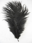 Black OSTRICH FEATHER, LONG, per Each