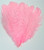 Candy Pink Ostrich Feather 16-20 inch Long per Each