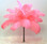 CANDY PINK OSTRICH FEATHER 1