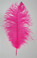 Fuchsia Hot Pink Ostrich feather, long ostrich feather