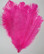 Fuchsia Hot Pink Ostrich Feather 16-20 inch group