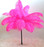 Fuchsia Hot Pink Ostrich Feather 16-20 inch vase