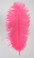 Hot Pink Ostrich feather, long ostrich feather
