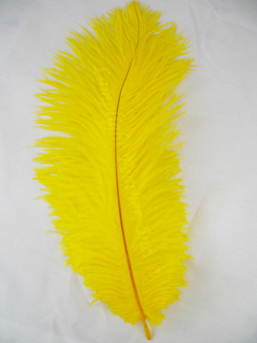 Yellow Ostrich feather, long ostrich feather