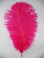Fuchsia Ostrich Feathers