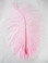 Light Pink Ostrich Feather