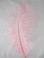 Light Pink Ostrich Feather short