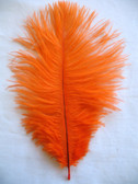 Orange Ostrich Feathers