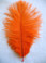 Orange Ostrich Feathers