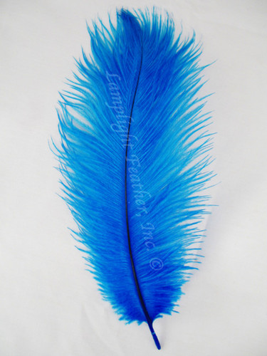 Turquoise   Ostrich Feathers