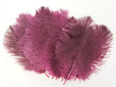 Dark Fuchsia Mini Ostrich Feathers 5-8 Inch per Dozen