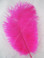 Fuchsia Mini Ostrich Feathers 5-8 Inch per Dozen
