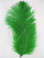 Green Mini Ostrich Feathers 5-8 Inch per Dozen
