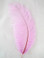 Orchid Mini Ostrich Feathers 5-8 Inch per Dozen