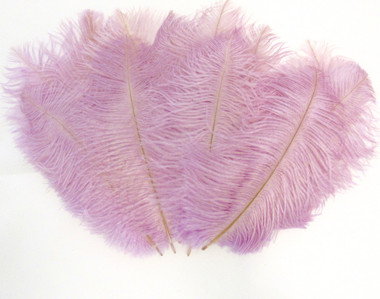Orchid Mini Ostrich Feathers 5-8 Inch