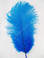 Mini ostrich feather turquoise 5–8 inches laid out for crafting decorations and costumes