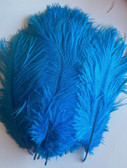 Mini ostrich feathers turquoise 5–8 inches laid out for crafting decorations and costumes – Pack of 24