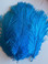 Mini ostrich feathers turquoise 5–8 inches laid out for crafting decorations and costumes – Pack of 24