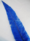 OSTRICH NANDU, LONG, Blue 16-19 inch per Each