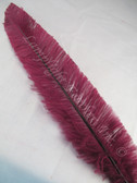 OSTRICH NANDU, LONG, Burgundy 16-19 inch per Each