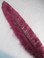 OSTRICH NANDU, LONG, Burgundy 16-19 inch per Each