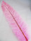 OSTRICH NANDU, LONG, Candy pink 16-19 inch - per Each