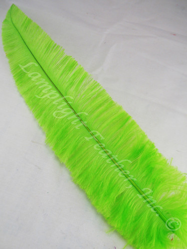 OSTRICH NANDU, LONG, lime 16-19 inch per Each