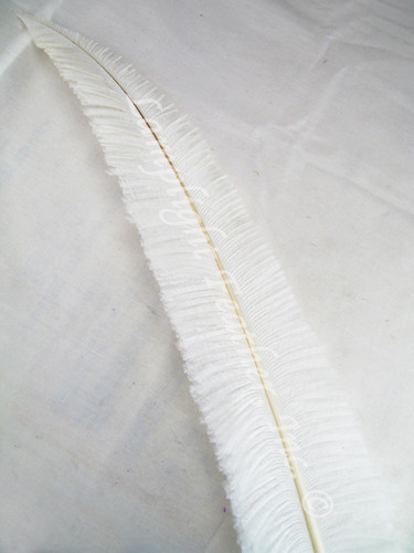 OSTRICH NANDU, SHORT, White 8-12 inch per Each