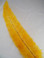 OSTRICH NANDU, SHORT, Gold 8-12 inch per Each