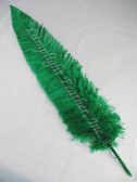 OSTRICH NANDU, SHORT, Green 8-12 inch per Each