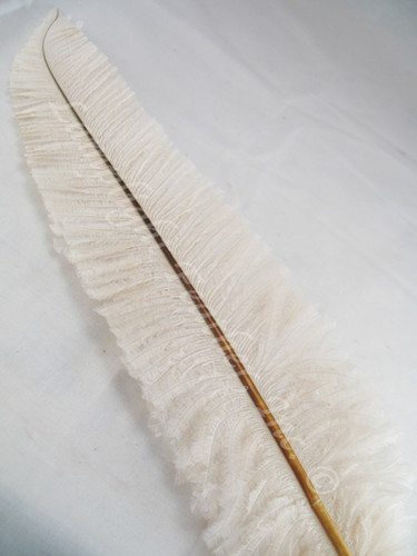 OSTRICH NANDU, SHORT, Ivory 8-12 inch per Each