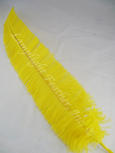 OSTRICH NANDU, SHORT, Yellow 8-12 inch per Each