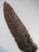 OSTRICH NANDU, STANDARD, Brown 12-16 inch per Each
