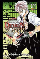 Demon Slayer - Kimetsu no Yaiba - 17