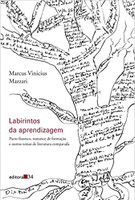 Labirintos da aprendizagem: Pacto Fáustico, Romance de Formação e Outros Temas de Literatura Comparada